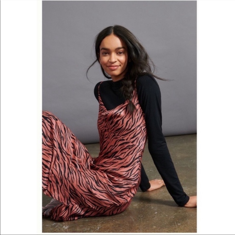 NWT Zebra Print Anthropologie Slip Dress